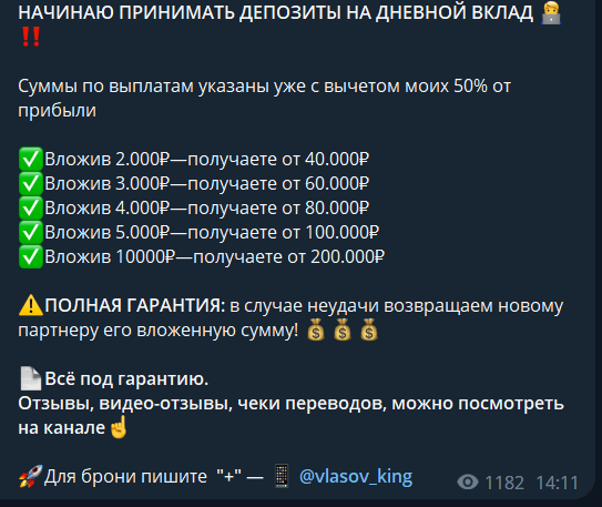 Условия заработка с @vlasov_king