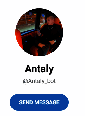 Бот “Antaly”