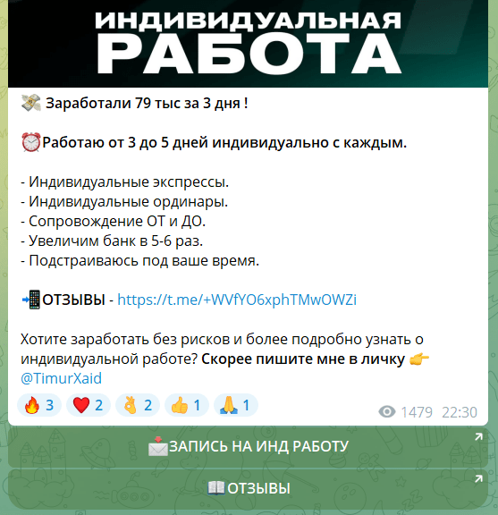 “Блог Тимура Хайдарова” индивидуальная работа