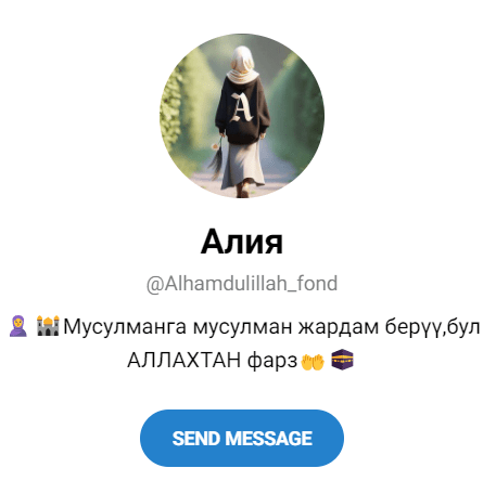 Обзор заработка с “Аль-Хамду ли-Ллях” отзывы о @Alhamdulillah_fond — фото 1