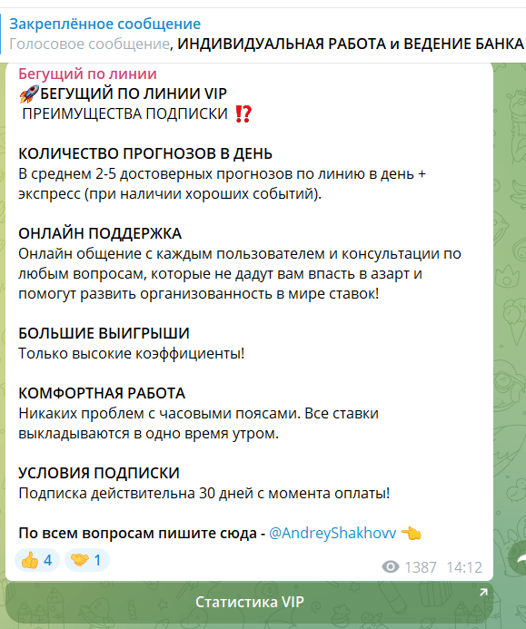 VIP подписка Андрея Шахова