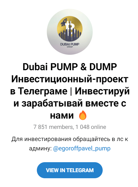 Обзор канала “Dubai PUMP DUMP” отзывы о Павле Егорове — фото 1