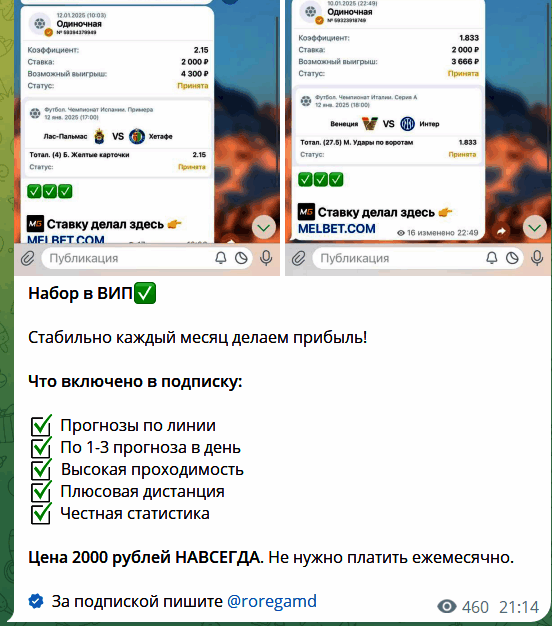 Условия ВИП подписки @roregamd