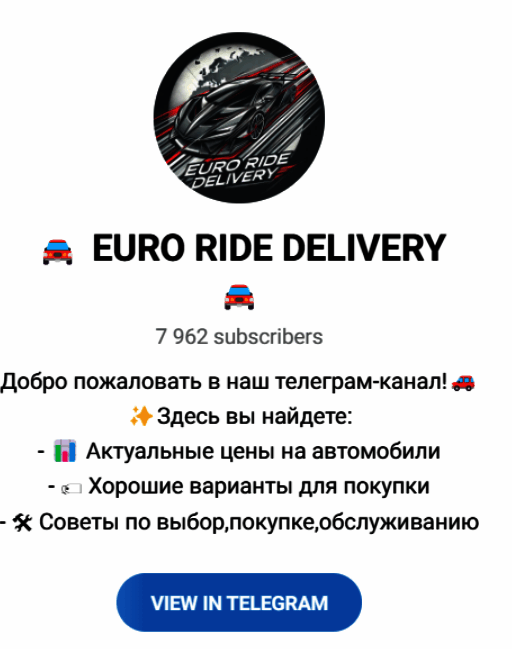 Обзор канала “EURO RIDE DELIVERY” отзывы о @manager_misha — фото 1