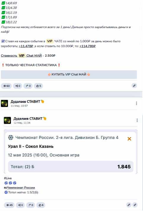 Прогнозы на футбол Анатолий Дудалаев