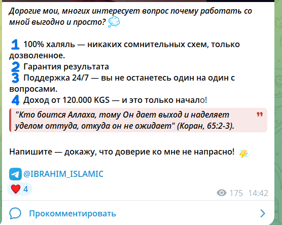 “Сайфуллаев Ибрахим HALAL доход” тг