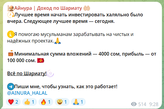 Халяльный путь к достатку “Айнура Доход по Шариату”