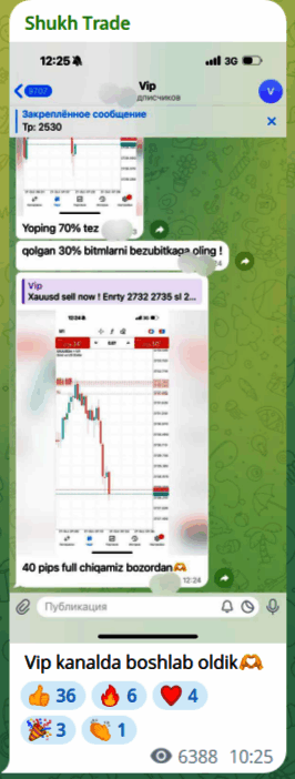 VIP “Shukh Trade”